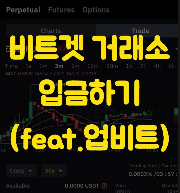  비트겟 거래소 입금하는 방법 완벽정리 (feat.업비트)