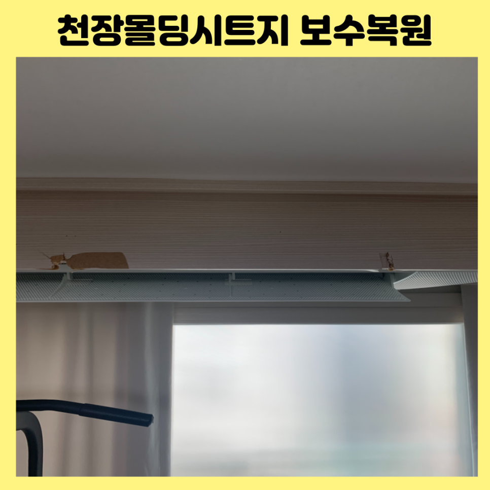 성남분당 천장몰딩시트지 보수복원