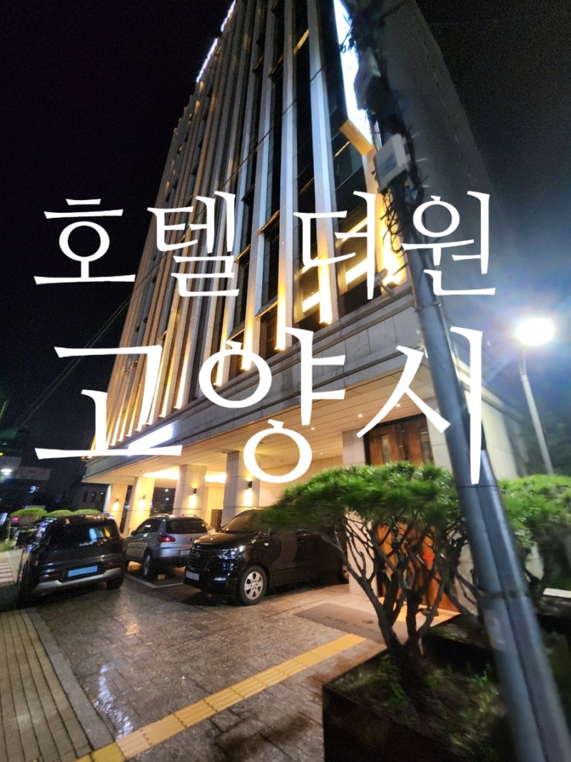 경기도 고양시 원흥역 호텔 더원 출장 후기 내돈내산