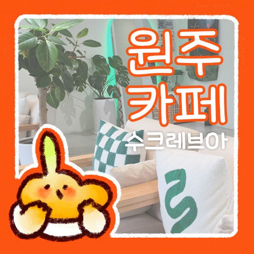  스쿠레브아 sucre bois  원주 지정면 카페