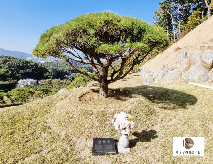  수도권 수목장 리스트 분양가격 절차안내
