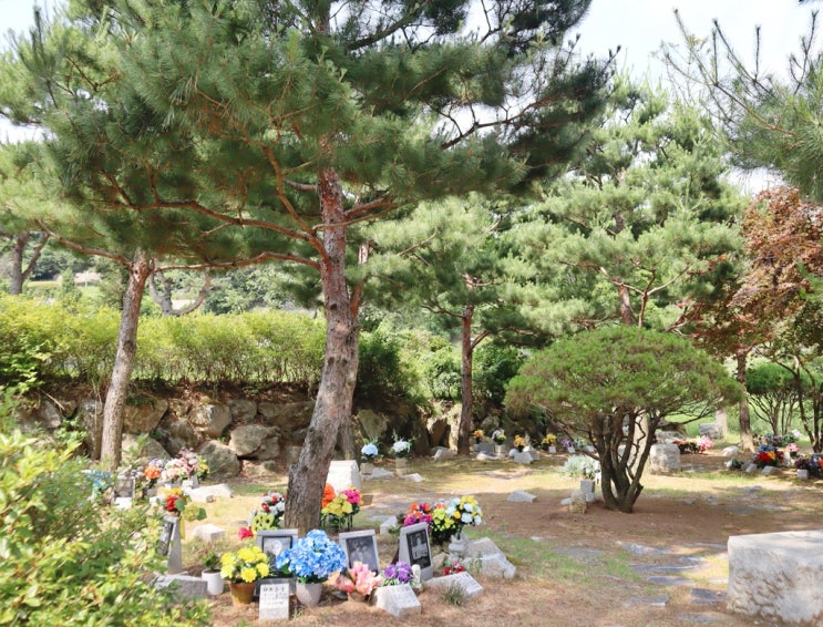  자연장 의미와 기원을 보아요