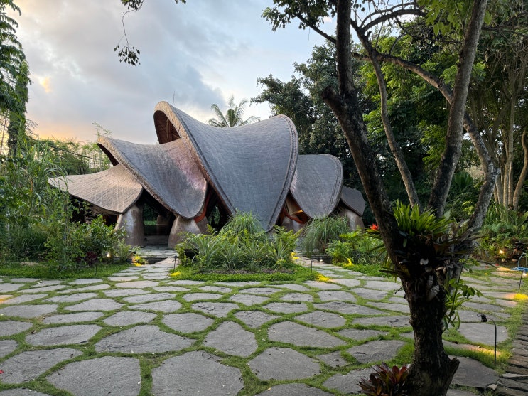  발리 우붓 알케미 요가원 Alchemy Yoga and Meditation Center Ubud