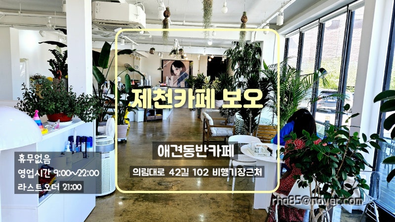 사진 5