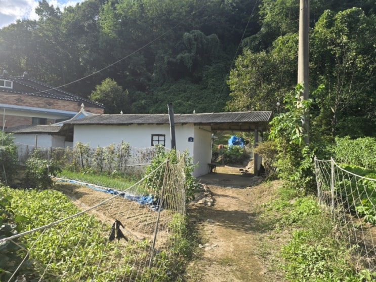  안성시 금광면 옥정리(매남길) 가압펌프 침수로 올림작업 입니다.