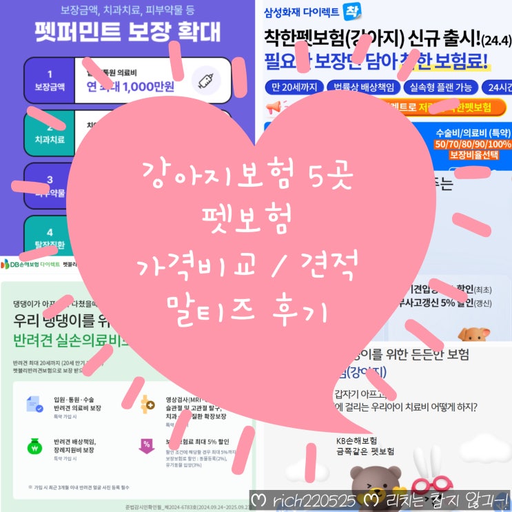  강아지 보험 말티즈 펫보험 비교 견적 서비스 (5곳 금액후기)