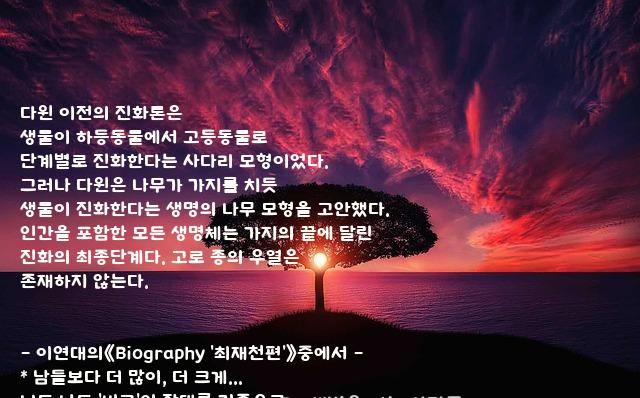 우리 우리