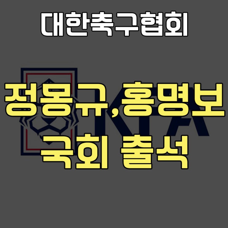 박문성 소신 발언 정몽규 홍명보 포함 대한 <b>축구 협회</b> 국회... 