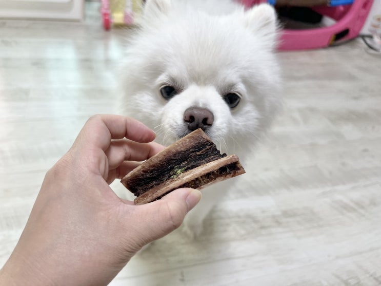  치석제거 스트레스해소에 좋은 강아지간식 강아지말갈비 멍는개남는댕