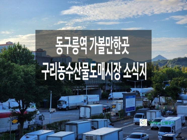  동구릉역 가볼만한곳 구리농수산물도매시장 유통 사업계획 소식지