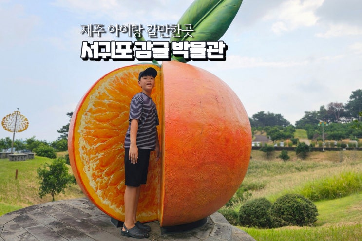  제주 아이랑 갈만한곳 서귀포 감귤 박물관 제주도 주말 아이와 가볼만한곳