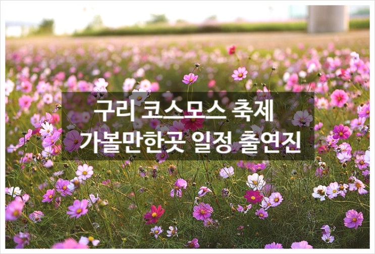  구리 코스모스 축제 가볼만한곳 일정 출연진 주차요금