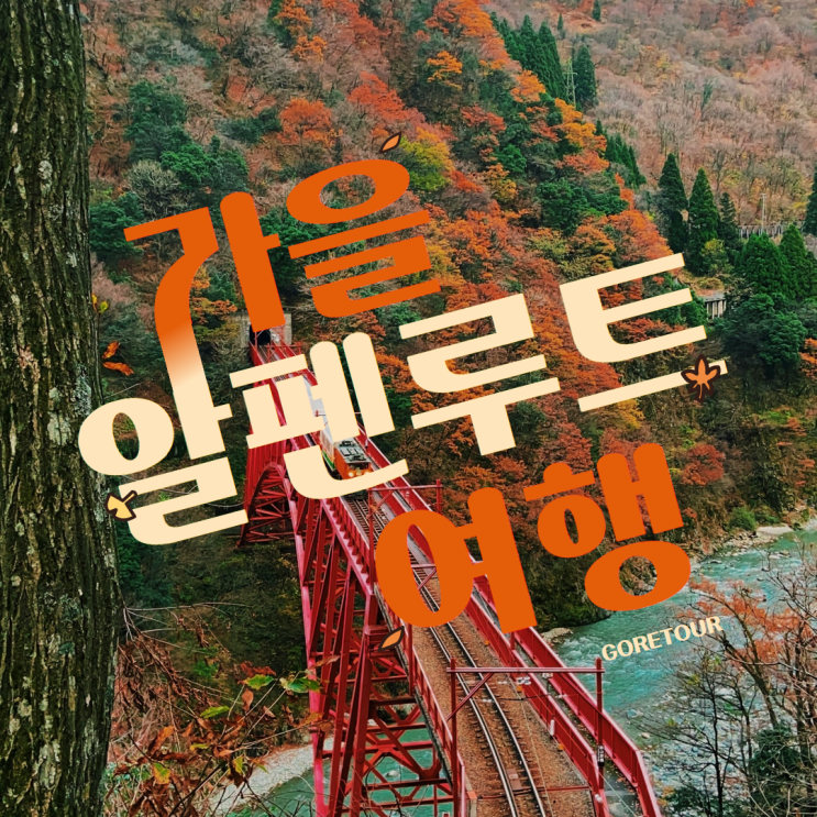  가을 알펜루트 단풍 여행ㅣ일본알프스 핵심명소 온천호텔 토롯코열차 시라카와고 겐로쿠엔
