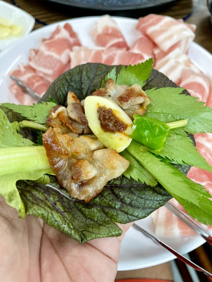 속초쌈밥 설악산맛집 가성비 좋은 쌈채정식전문점 대추한알가든쌈고기