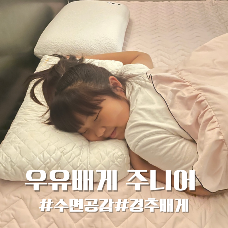 수면의 질을 높여주는 성장기 아이맞춤 경추지지해주는 초등학생베개 수면공감