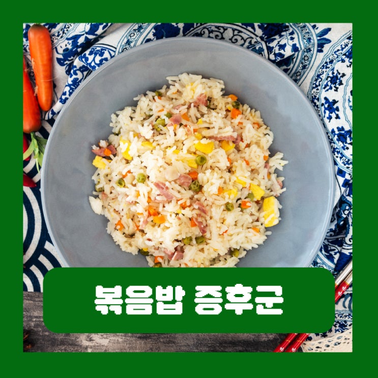  볶음밥 증후군 증상 가을철 상온 보관 음식 위험한 이유