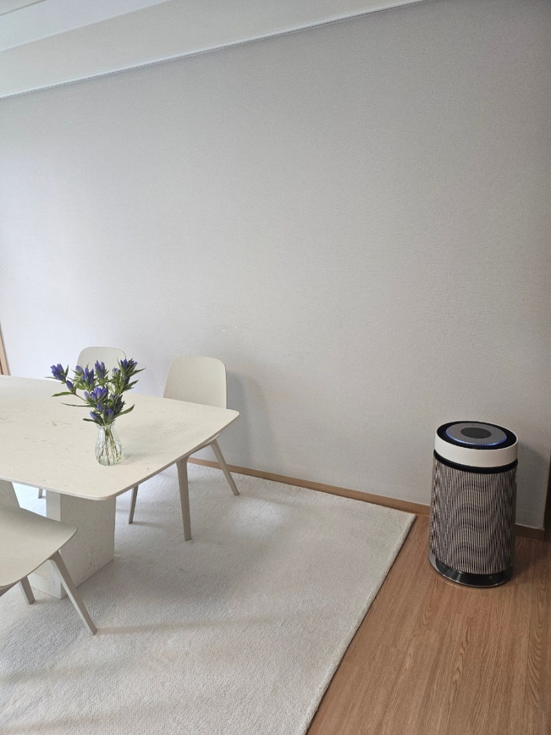 LG 퓨리케어 오브제컬렉션 공기청정기(AS204NS3A) 후기, 공기청정기 고르는 법