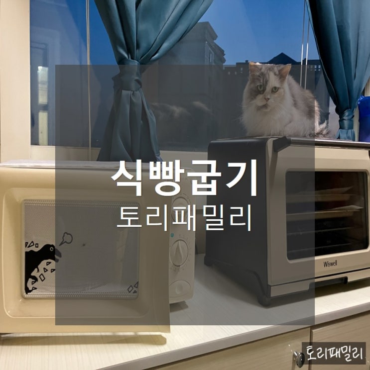  토리패밀리, 오븐에서 식빵굽는 고양이