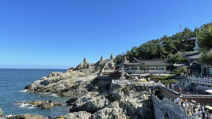  24년 9월 월간 일상 上 : 피할 수도 즐길 수도 없는