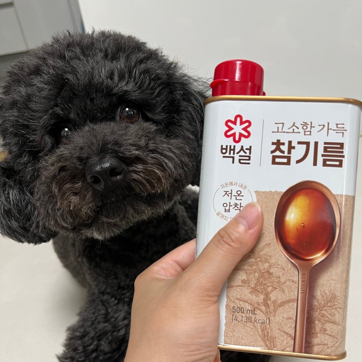  강아지 참기름 먹어도 될까? 장점보단 단점이 더 많아요