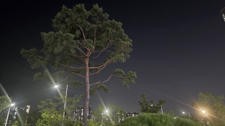  함께 성장하는 꿈, 협동조합 설립하기