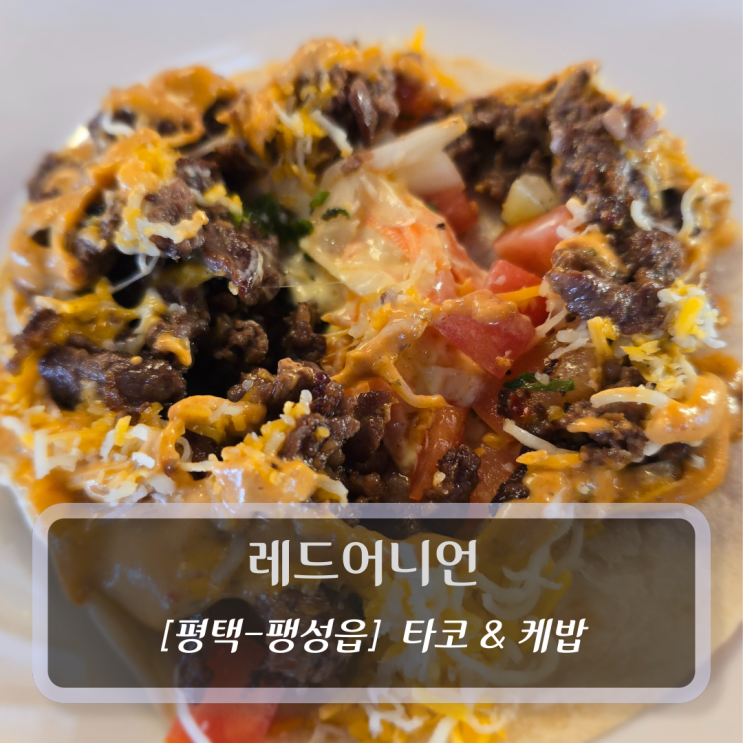  [평택-팽성, 타코 케밥] 레드어니언 - 평택데이트 맛집