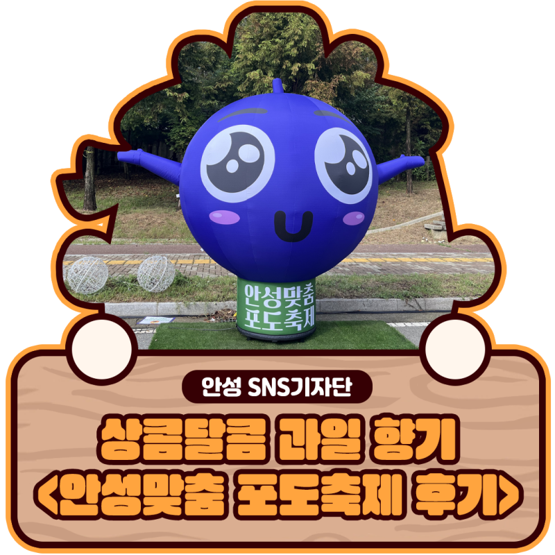상콤달콤 과일 향기 #기자단