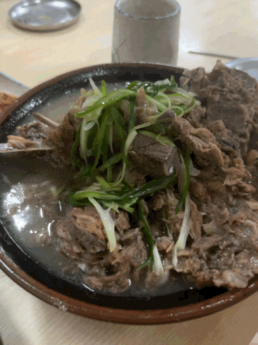  제주공항 근처 맛집 '닥그네할망' 내돈내산 리뷰