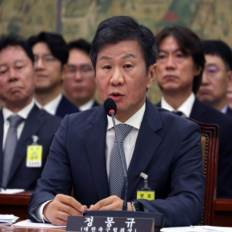 문체위 현안질의에서 드러난 정몽규-홍명보에 대한 추가 문제점들!!(이임생 정관위배, 최다추천 동률, 팀트웰브, 쿠팡, 천안축구종합센터 현대산업개발 유착관계, 박문성 열사, 달수네)