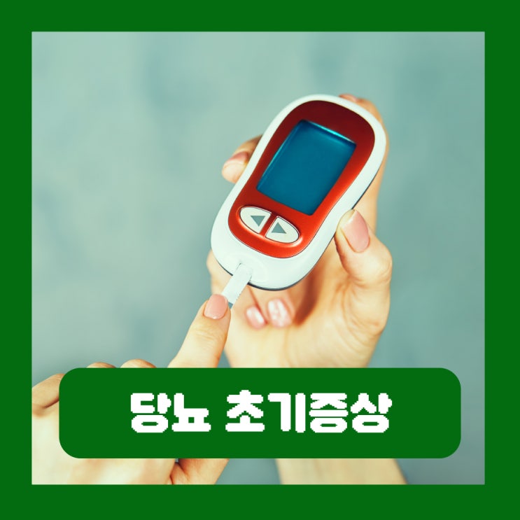  당뇨 초기증상 원인 판단기준 전당뇨 관리에 좋은 음식