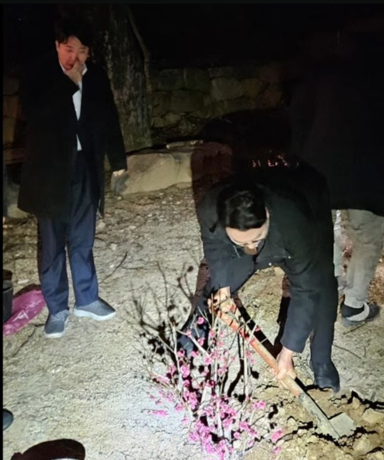 [이준석 천하람 명태균][칠불사 홍매화 매화나무 2024년 3월1일 새벽4시 삽질][윤석열 김건희 ....