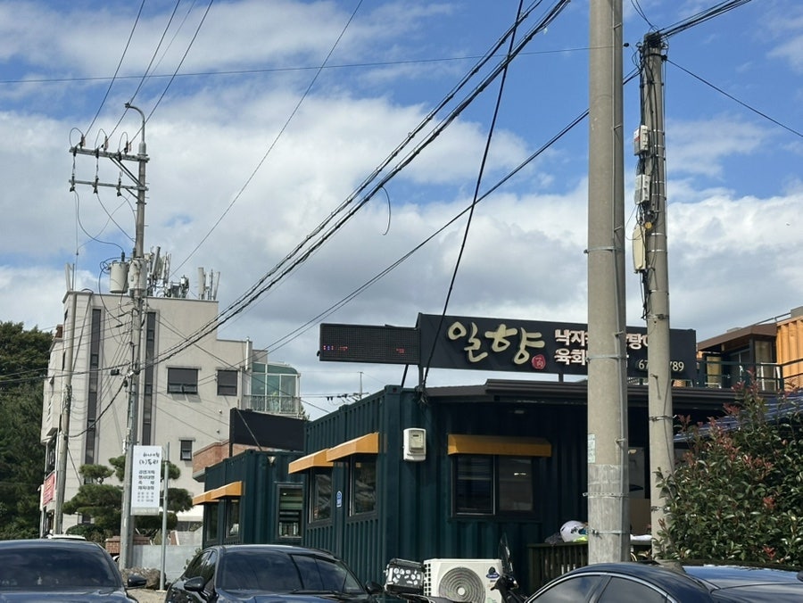 일향 사진 1