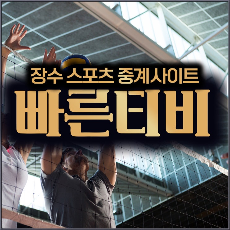 V리그남자배구순위 2024년 경기 일정 및 분석