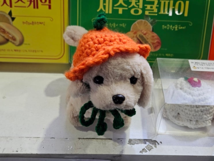  서귀포 매일 올레시장 야시장 먹거리 주차장 제주도 중문 시장 구경