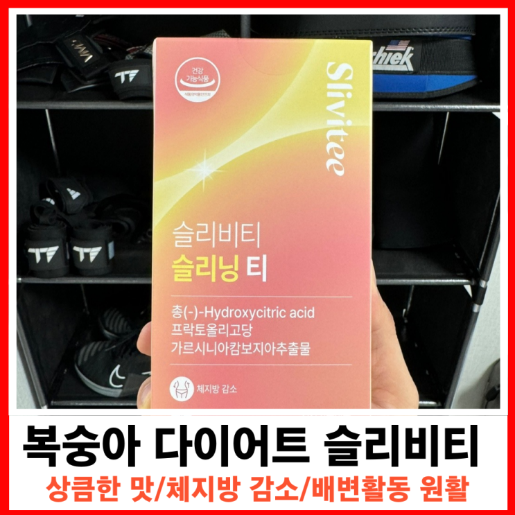  맛있게 마시며 체지방 감소하는 차 슬리비티 슬리닝 티