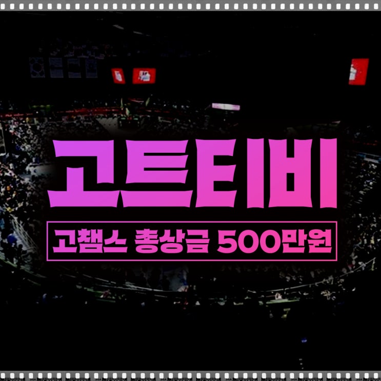 2024 <b>배구</b>경기예매 대회 일정 및 관람 팁