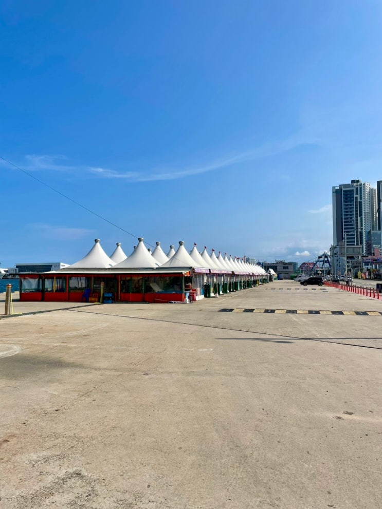 동명항 오징어난전 오징어없음 속초관광수산시장 이동 / 슬쌍디아빠 이동섭