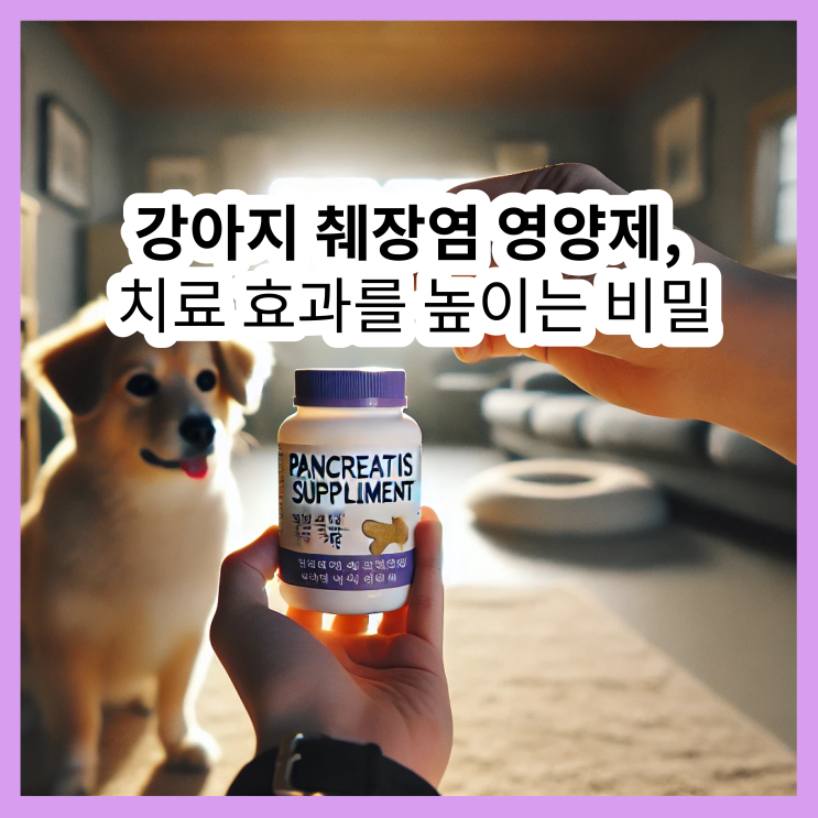  강아지 췌장염 영양제 선택법, 치료 효과를 높이는 비밀