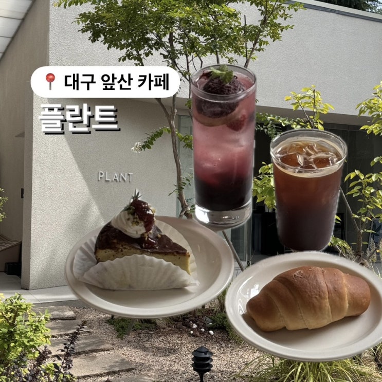  대구 앞산 주택개조 카페 플란트 치즈케이크 맛집