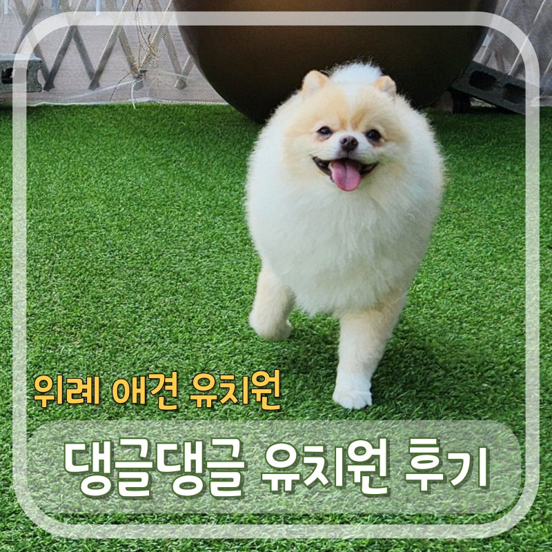 사진 9