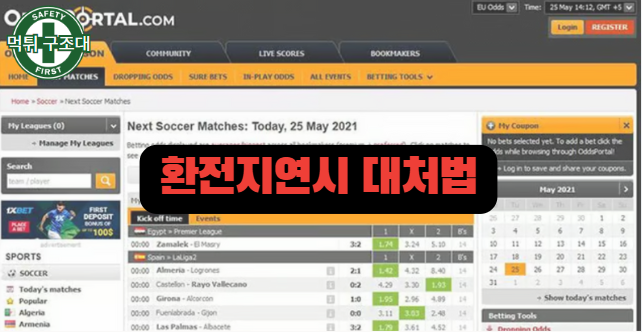  스포츠 해외 배당의 흐름을 분석하기