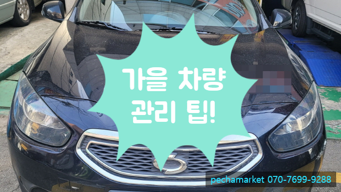 가을 차량관리 팁!