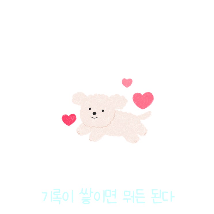  매일 글쓰기 0924