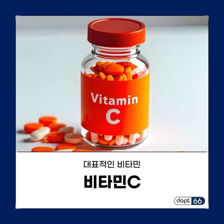  비타민C 효능과 일일 권장량 및 결핍 증상