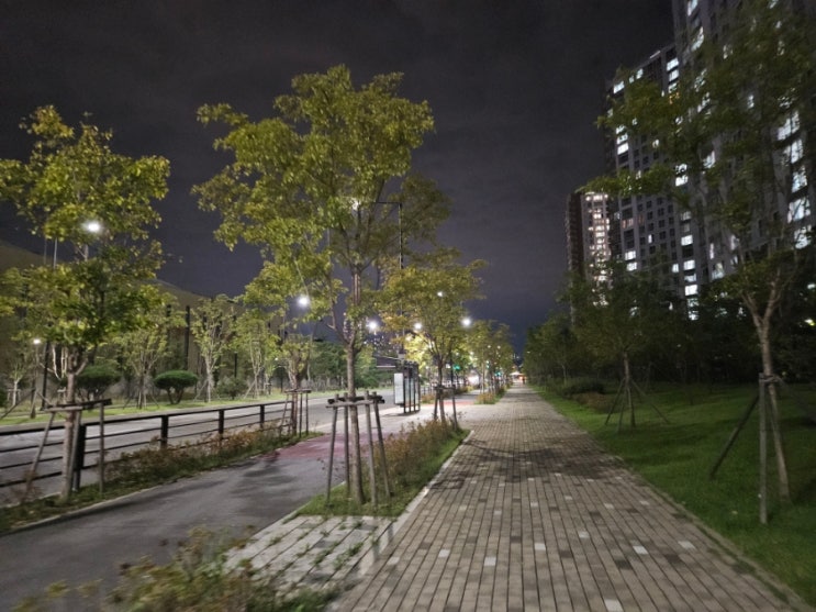  감사일기 402일차