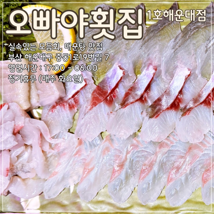  실속있는 해운대횟집추천 '오빠야횟집 1호해운대점'