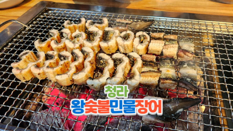  청라 장어 보양식 맛집_4단지 왕숯불민물장어