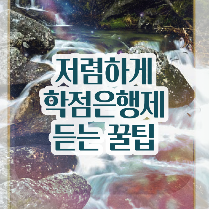  , 관련학과 졸업장, 경력없어도 학사전공 성공할 수 있어요
