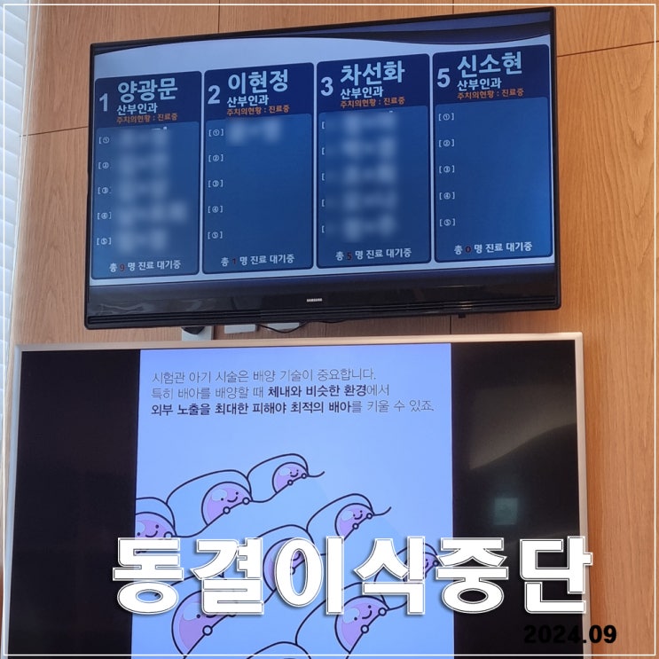  동결이식 준비 & 중단 : 고르지 못한 내막, 담당의와 원할하지 않은 소통 문제