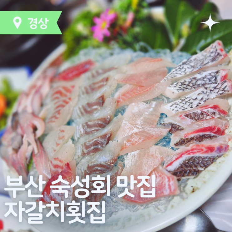  부산맛집 부산숙성회맛집 자갈치횟집 방문후기